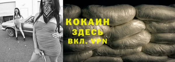индика Абдулино