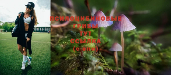 герыч Абаза